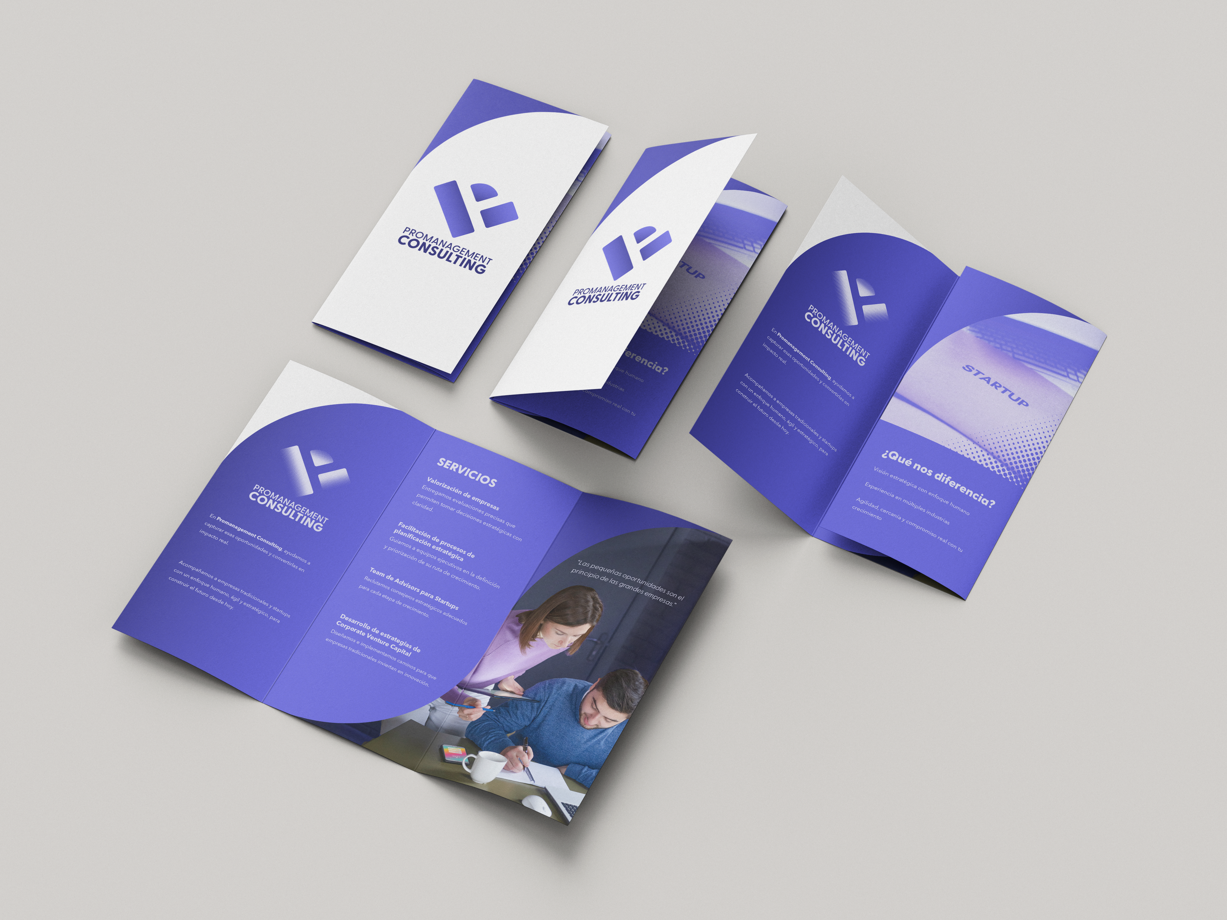 BrandBook Promanagement