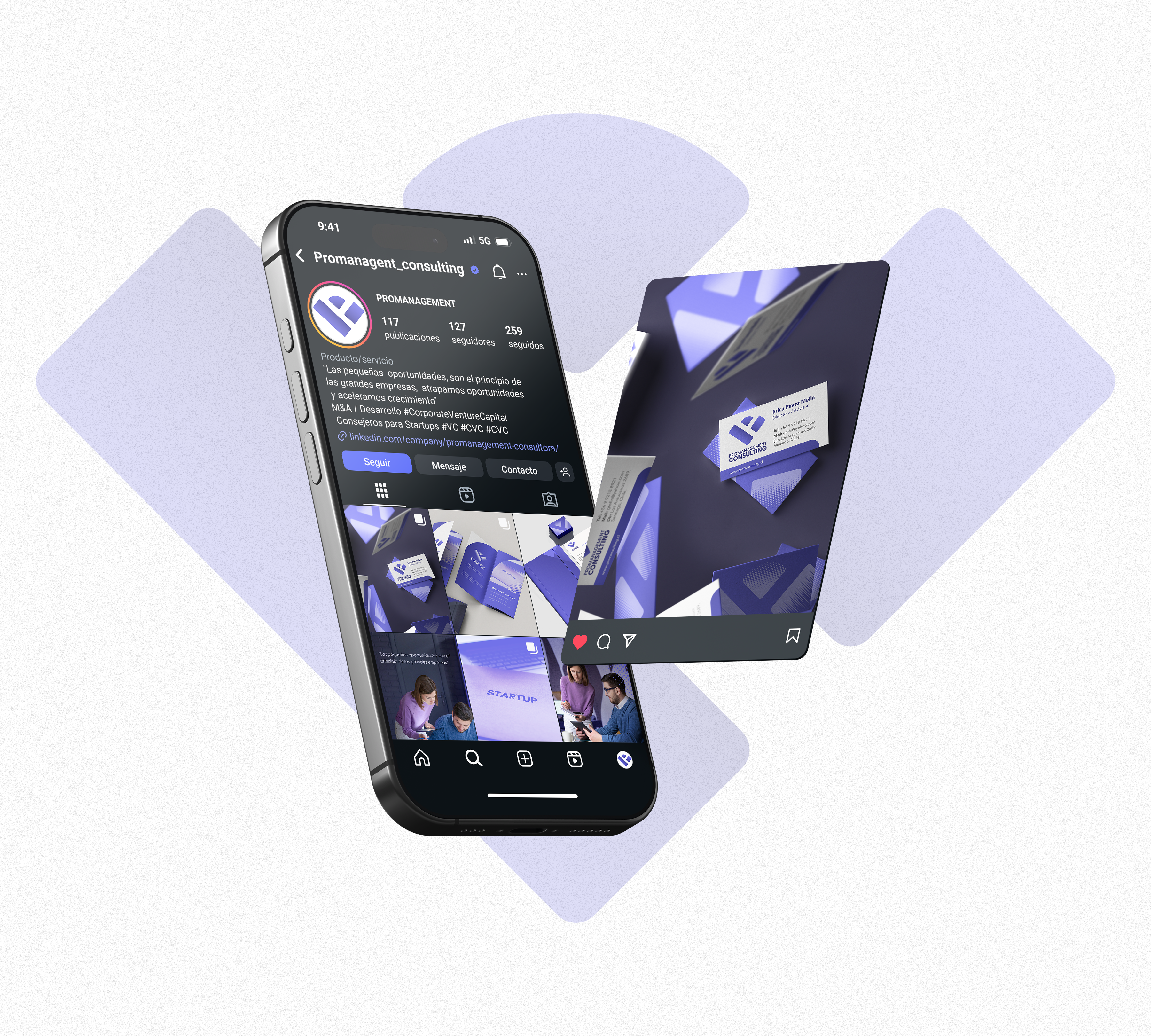 BrandBook Promanagement